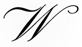 Willow Theme Logo